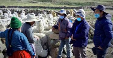 AUTODEMA CUMPLE CON LOS COMPROMISOS AMBIENTALES EN CAYLLOMA DERIVADOS DEL PROYECTO MAJES SIGUAS II ETAPA