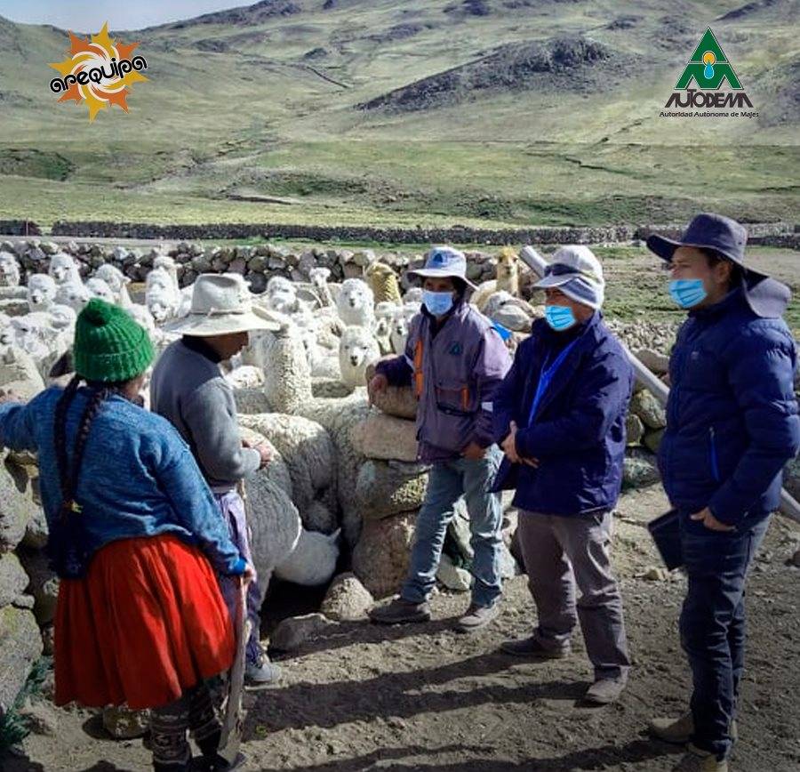 AUTODEMA CUMPLE CON LOS COMPROMISOS AMBIENTALES EN CAYLLOMA DERIVADOS DEL PROYECTO MAJES SIGUAS II ETAPA